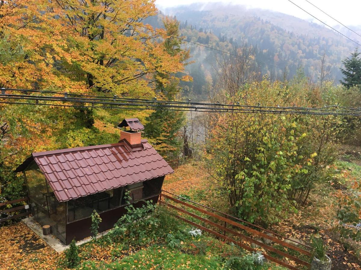 Mini-Hotel Serpanok Mykulychyn Eksteriør billede